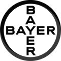 bayer_black